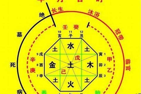 八字喜五行|生辰八字算命、五行喜用神查詢（免費測算）